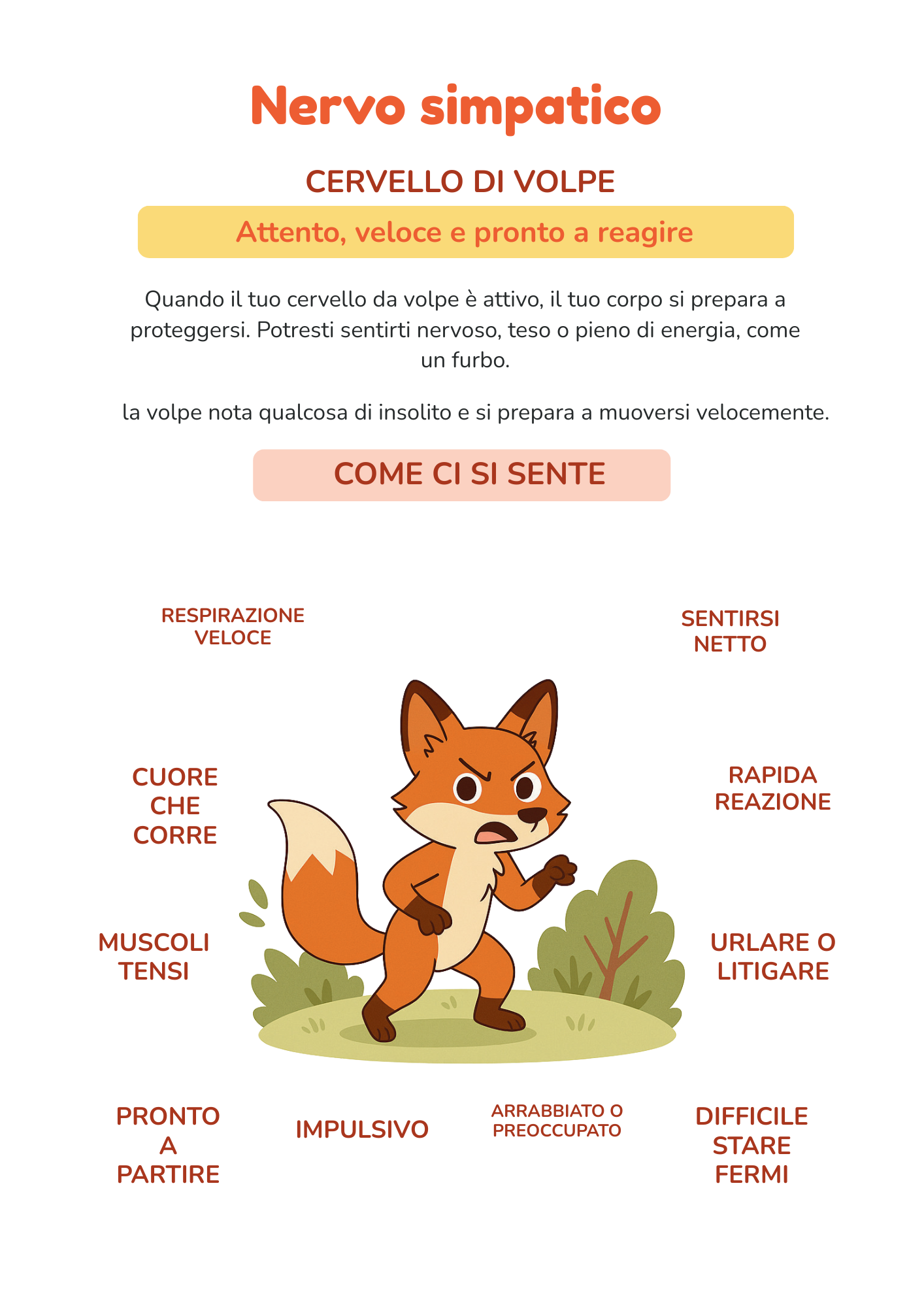 Kit Equilibria Kids – Quaderno didattico "Dal caos alla calma"