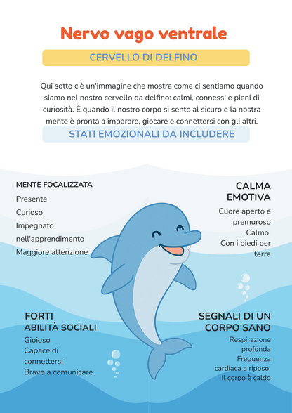 Kit Equilibria Kids – Quaderno didattico "Dal caos alla calma"